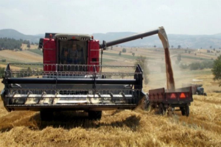 Bursa Yenişehir Yağlı Tohumlar Kooperatifi'nde arpa alımları başladı
