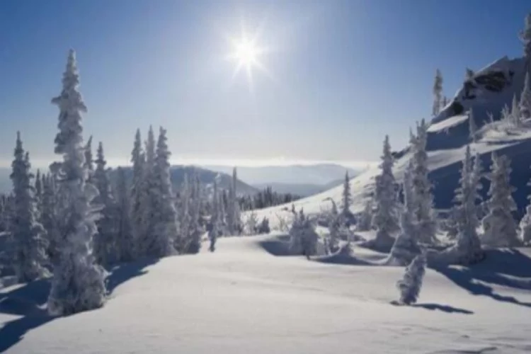 Sibirya'da rekor sıcaklık: 38 derece