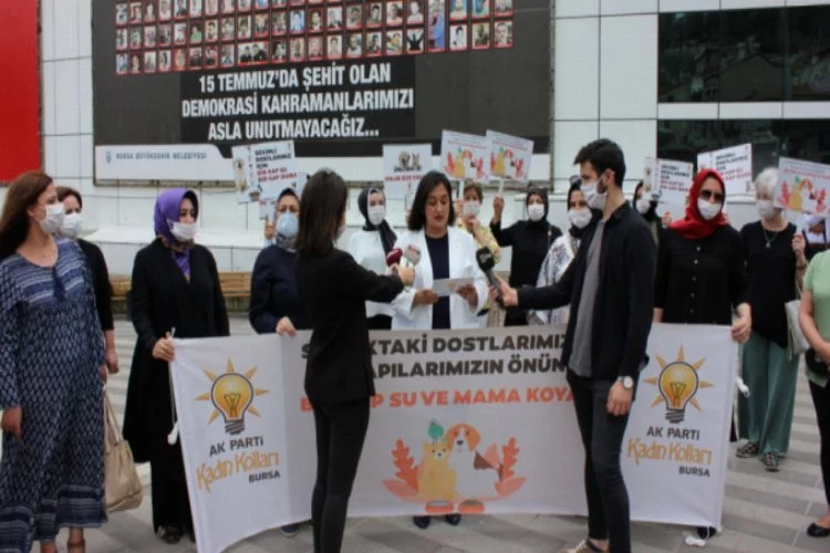 Bursa'da 'Bir kap su, bir kap mama' etkinliği!