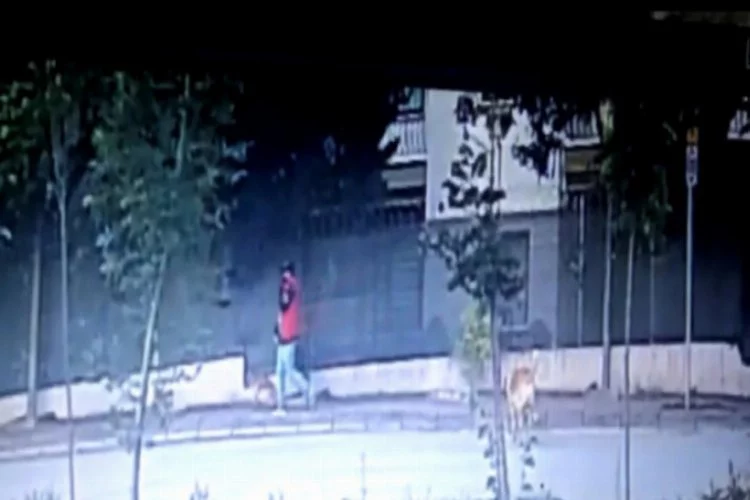 Bursa'da pes dedirten hırsızlık: Kapıyı kırıp girdiler, köpeği çaldılar!