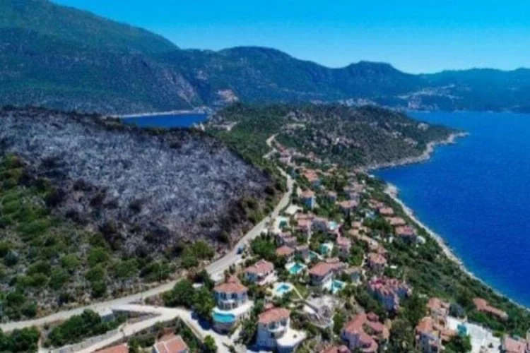 Kaş Belediyesi'nden yanan ormanlık alan ile açıklama geldi