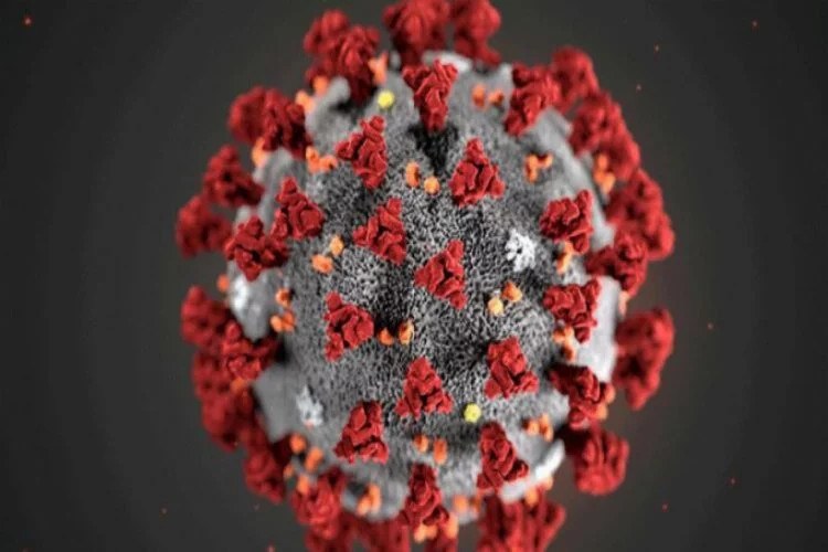 Koronavirüs salgınında ABD'den dikkat çeken sayı
