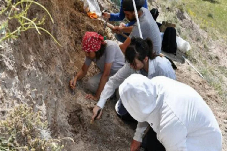 7,5 milyon yıllık fosillerin bulunduğu alanda yeni kazı çalışması