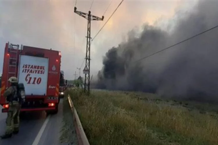 İzmir'de korkutan orman yangını!