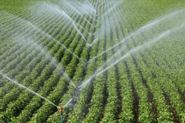 'Çatlamış topraklar' suya kavuşunca üretim de çiftçinin morali de arttı