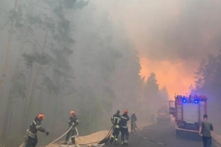 Ukrayna'da orman yangını! 6 ölü, 9 yaralı