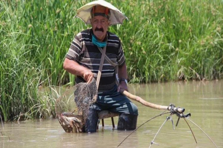71 yaşındaki adamın Kızılırmak'ta balık tutma yöntemi şaşkına çevirdi!