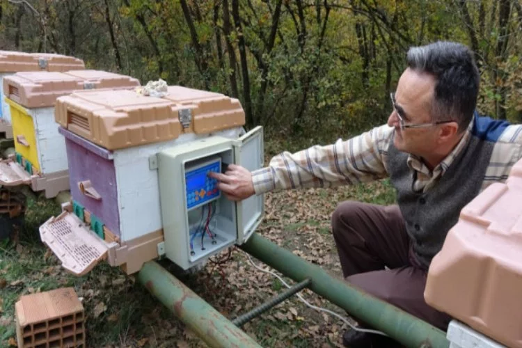 Bursa'da klimalı kovan sayesinde arı ölümleri yüzde 95 azaldı