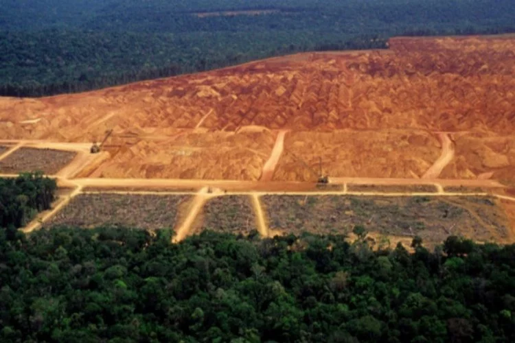 Amazonlar en kötü yılını yaşıyor! Yüzde 25 arttı