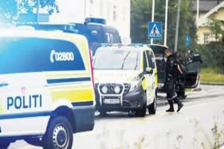Norveç'te silahlı saldırı : 1 ölü
