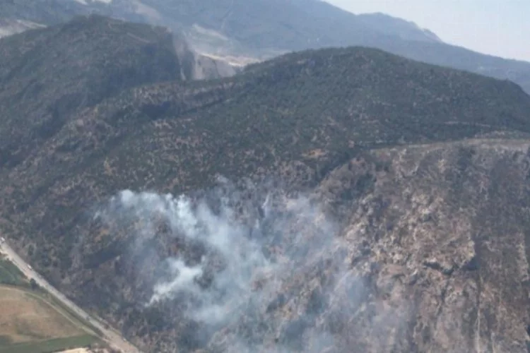 Sazlıköy'de orman yangını çıktı