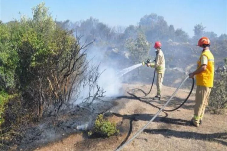 2 hektar makilik alan yangında zarar gördü