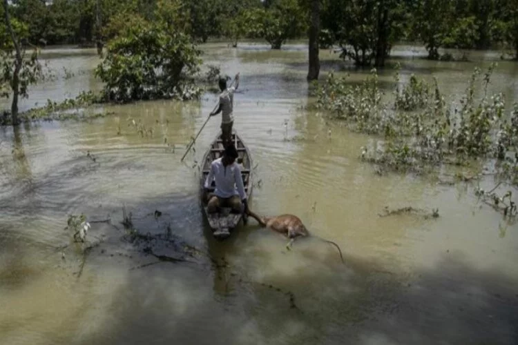 Güney Asya'da sel felaketinin bilançosu yükseliyor