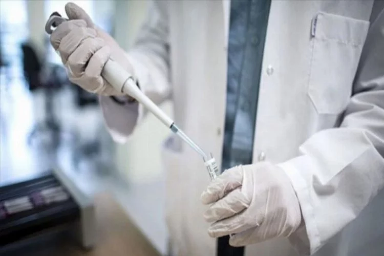 Korona aşısında umut veren gelişme! Oxford Üniversitesi ilk sonuçları paylaştı