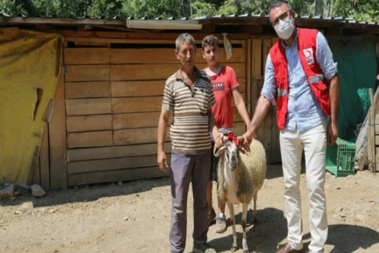 Bursa'da Kızılay'ın çalışmasını gördü, koyununu bağışladı