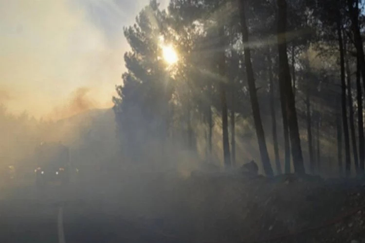 Çıkan yangında 1 hektar ormanlık alan zarar gördü