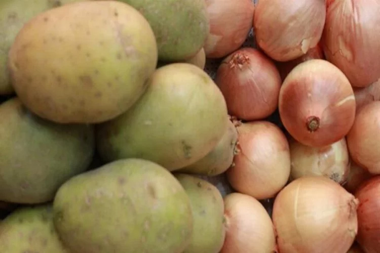 Soğan ve patateste hasat verimli geçti, ihracat serbest bırakıldı