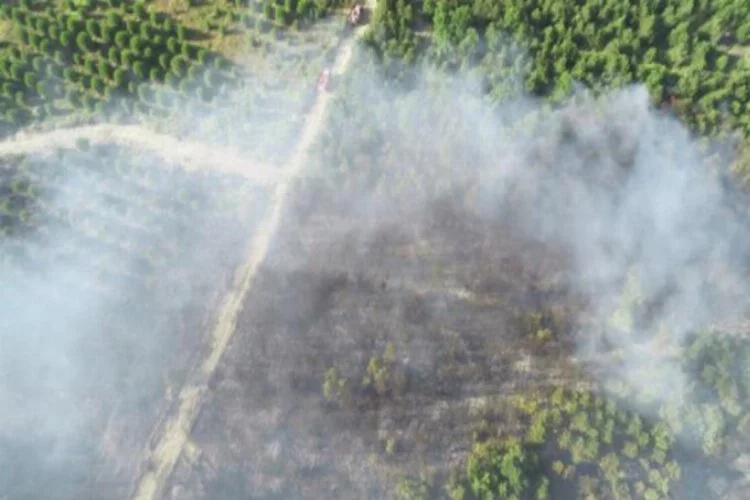 Edirne'deki orman yangını 9 saatte söndürüldü
