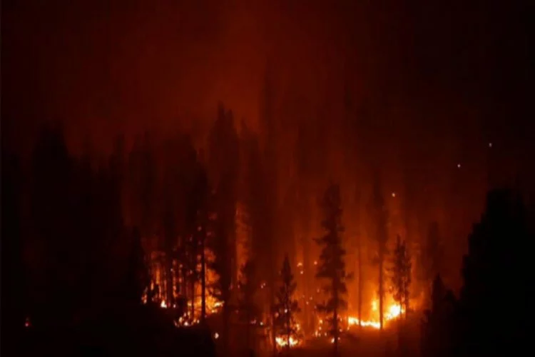 ABD'de çalı yangınları devam ediyor