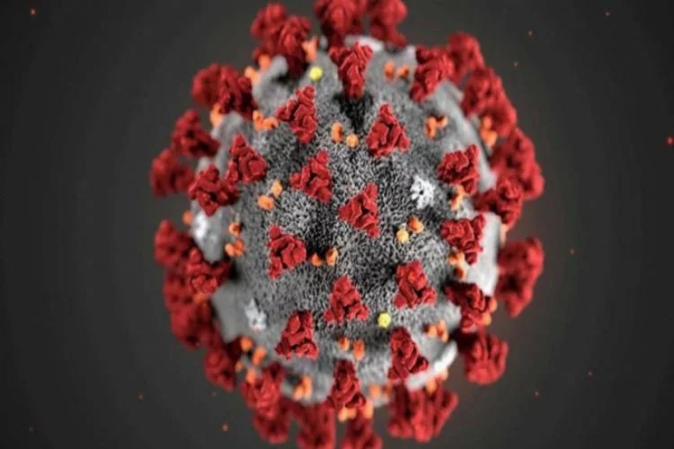 Dünya genelinde koronavirüs bilançosu: Can kaybı 652 bin 332'ye yükseldi