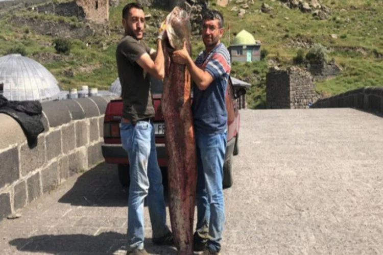 İki kardeş dev yayın balığı yakaladı