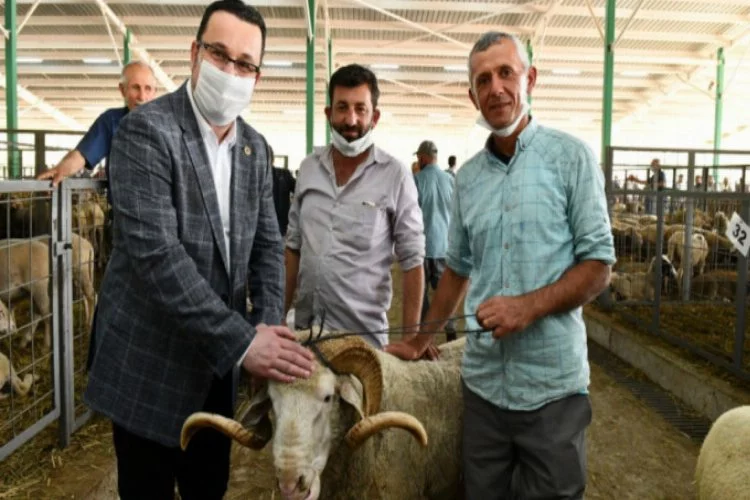 Bursa'da Başkan Kanar hayvan pazarını ziyaret etti