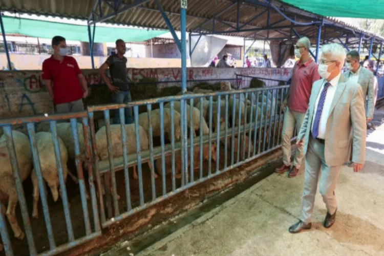 Bursa'da Başkan Erdem'den hayvan pazarına ziyaret