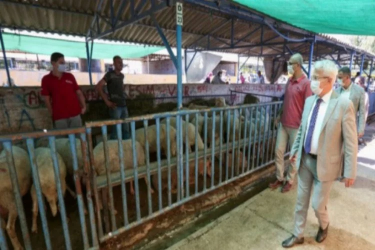 Bursa Nilüfer Belediye Başkanı Erdem'den hayvan pazarına ziyaret