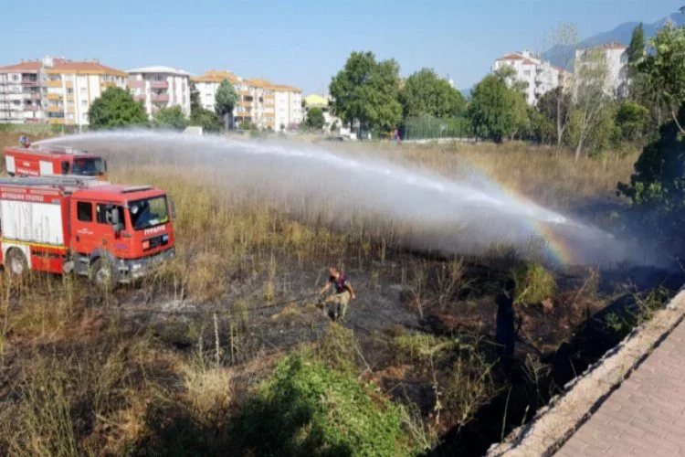 Sigara izmariti yangın çıkardı, Bursa Paşa Çiftliği tehlike atlattı