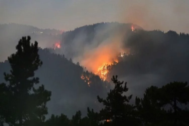 Bir günde 19 orman yangını çıktı