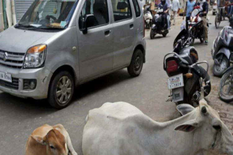 Müslüman genç, inek eti taşıdığı iddiasıyla linç edildi