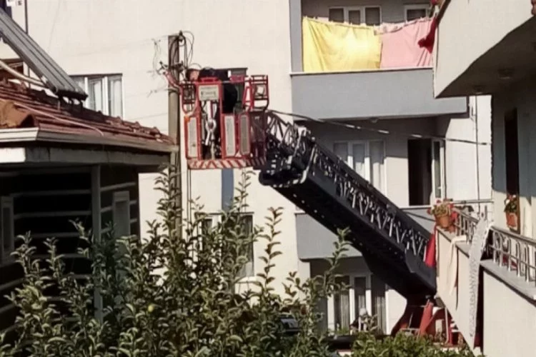 Bursa'da çatıya sıkışan ebabil kuşunu itfaiye kurtardı