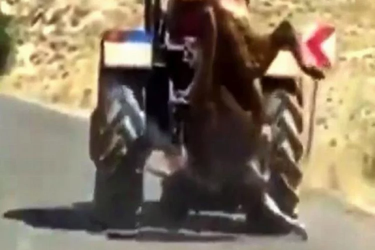 Kestiği kurbanlık ineği traktörün arkasında asılı götürdü! Tepkiler sonrası Valilik devreye girdi