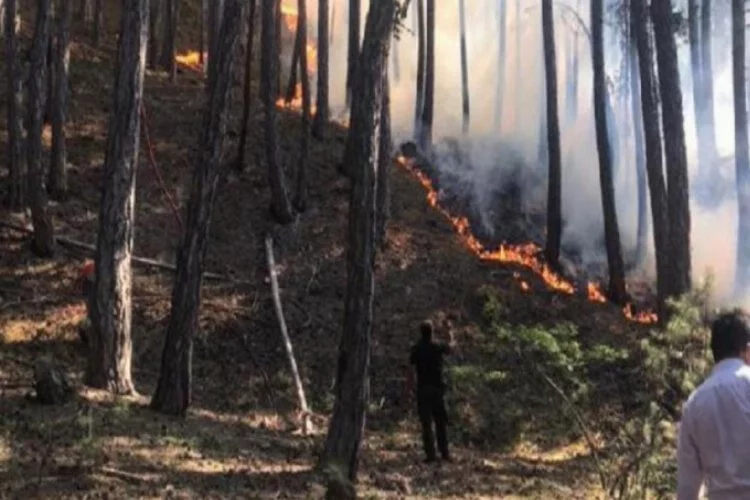 Soğuksu Milli Parkı'nda orman yangını