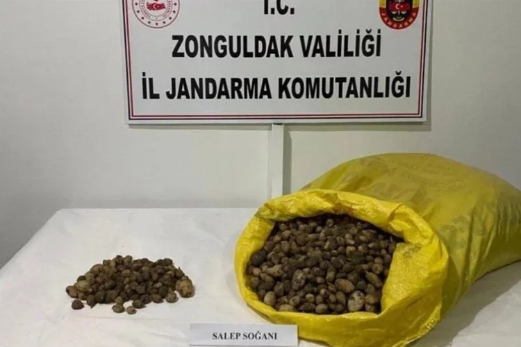 40 kilo salep soğanının bedeli 218 bin TL para cezası oldu