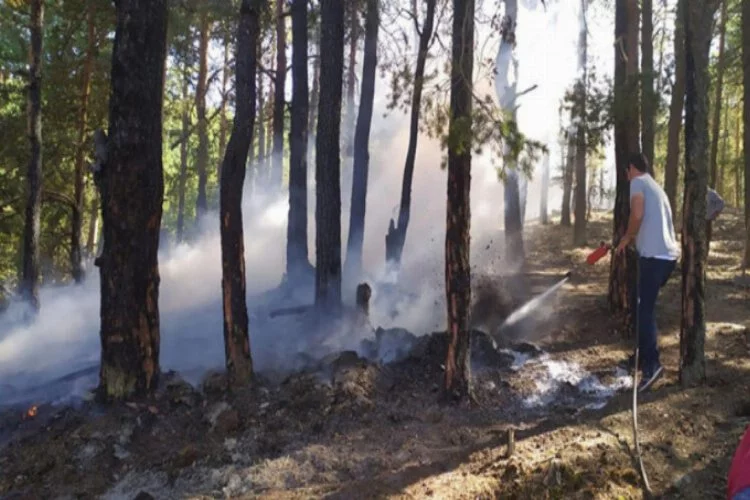 Bolu'da orman yangını zarara neden oldu