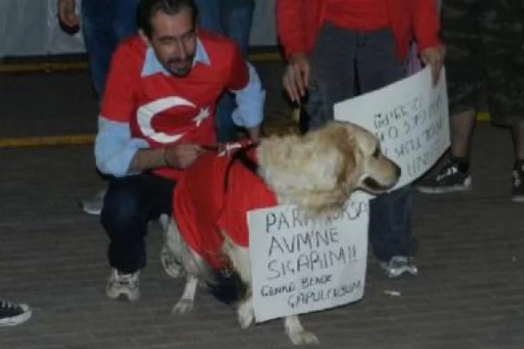 Köpeğine Türk bayraklı tişört giydirince gözaltına alındı