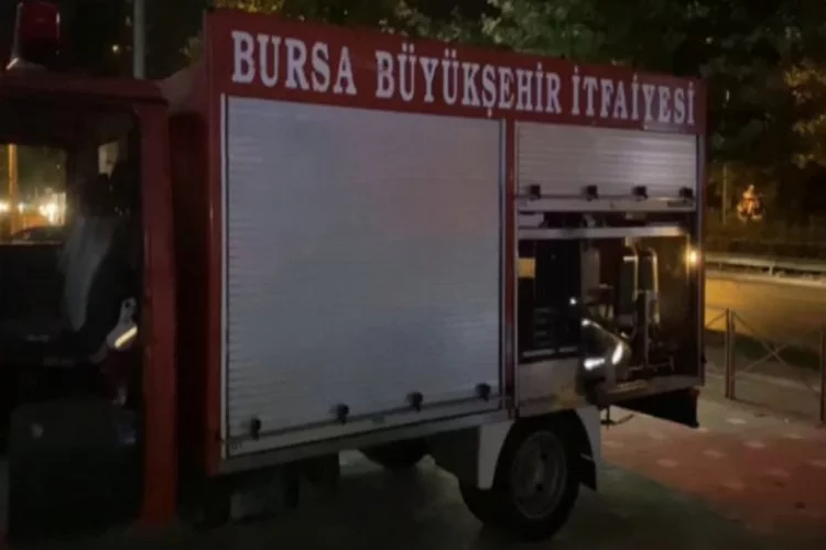 Bursa'da kedi kurtarma operasyonu