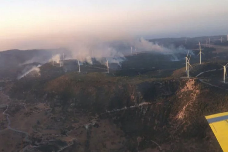 Güney Kıbrıs'ta ormanlık yangını