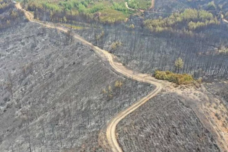 Orman yangını 17 saatte söndürüldü
