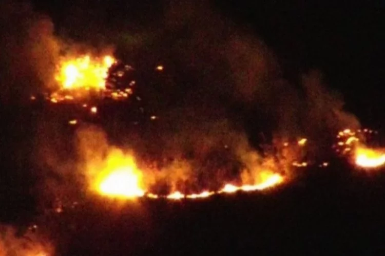 Bulgaristan'daki orman yangını Türkiye sınırına ulaştı