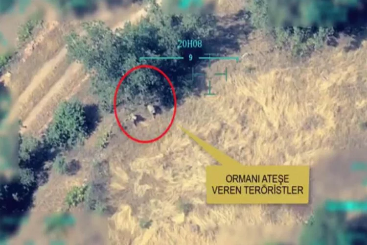 Irak'ın kuzeyinde orman yakan PKK'lı teröristler etkisiz hale getirildi