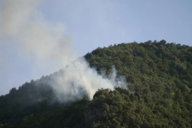 Bursa'da ormana sıçrayan yangın havadan müdahale ile söndürüldü