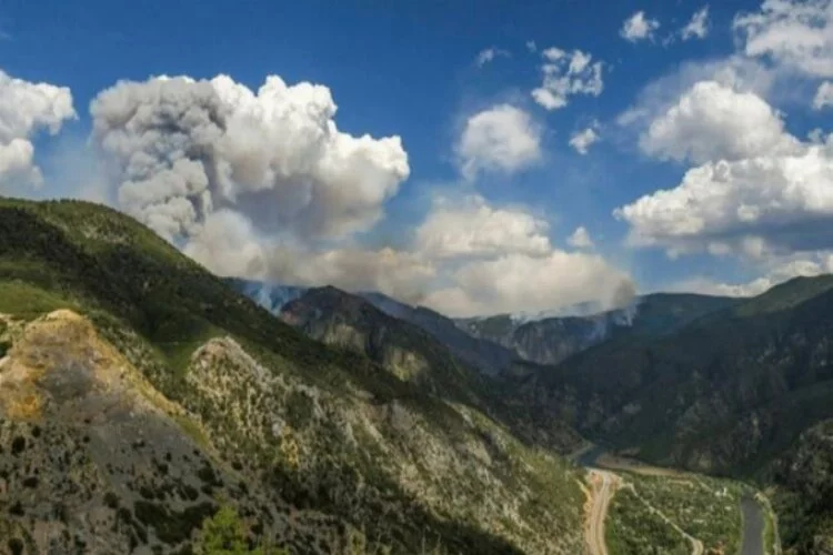 ABD'de alarm! 3 eyalette orman yangınları sürüyor