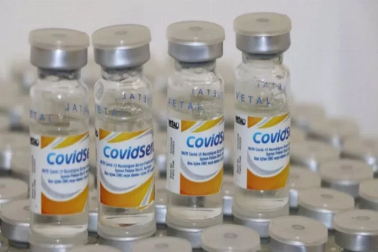 Dünyada bir ilk: Atlar koronavirüse karşı antikor üretiyor!