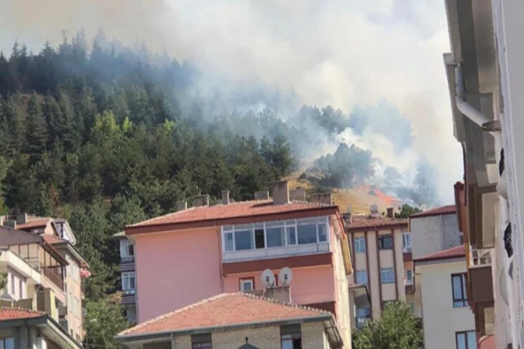 Ankara'da orman yangını!