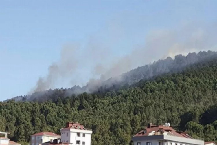 İstanbul'da orman yangını!