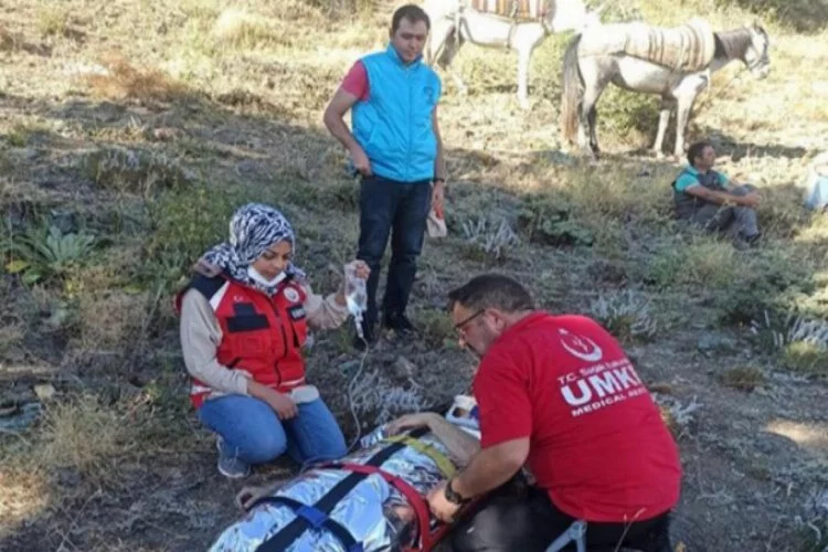 Mera tespitine giden veteriner, attan düşüp yaralandı