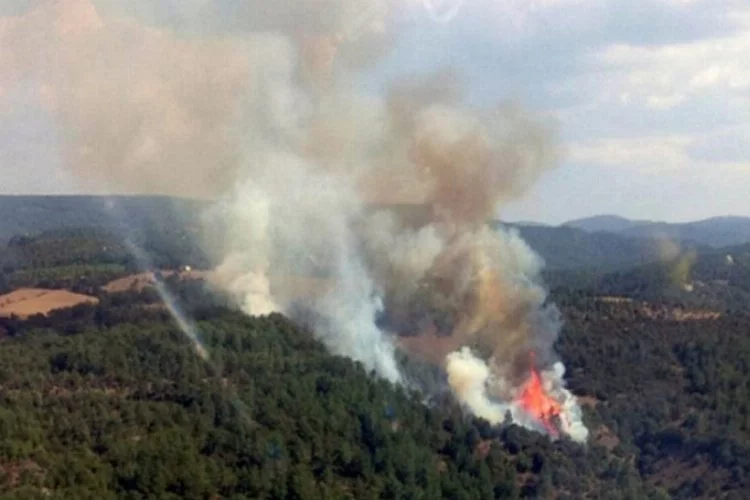Çanakkale'deki orman yangını kontrol altına alındı!