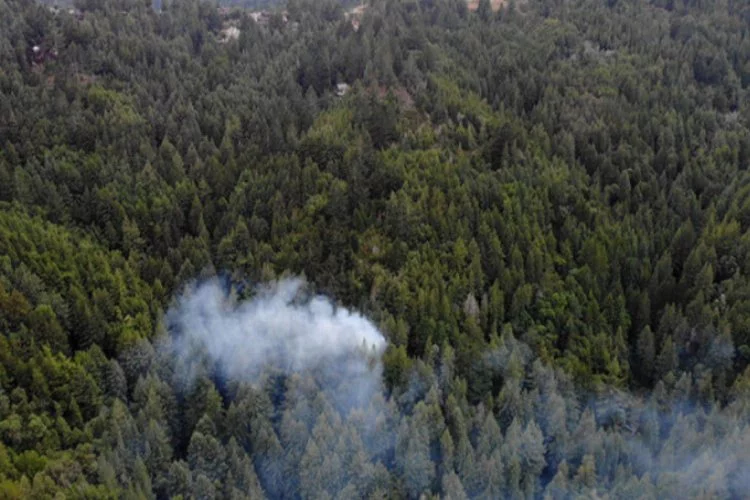 California'da yıldırım düştü, orman yangını çıktı